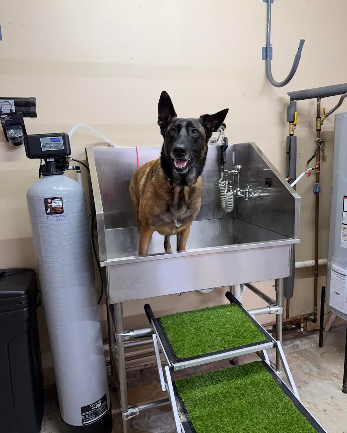 Custom dog wash station with sprayer installed in a garage