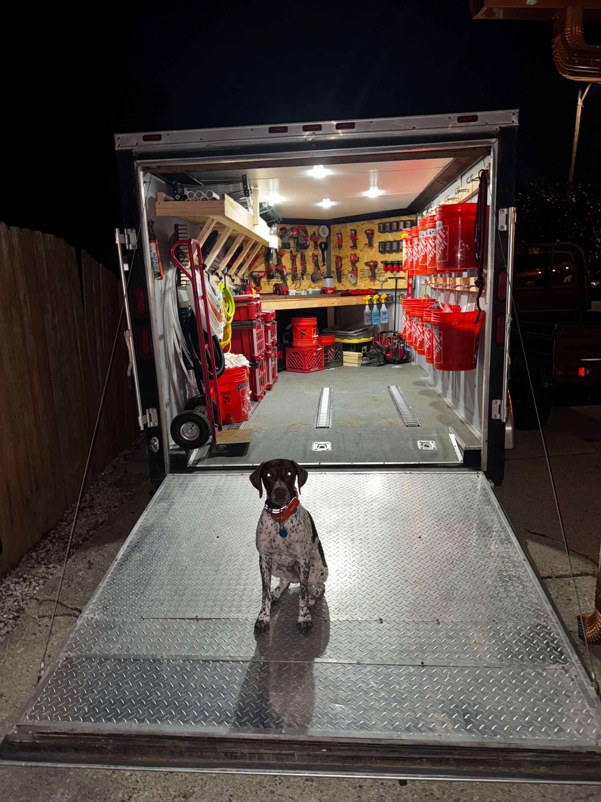 Organized plumbing van at night with spotted dog sitting on ramp